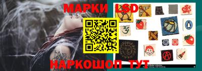 шишки Можайск