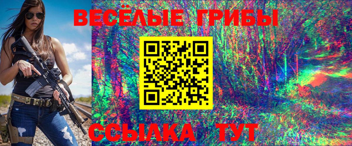 Псилоцибиновые грибы прущие грибы  Вход с VPN  Озёрск  Псилоцибиновые грибы прущие грибы 