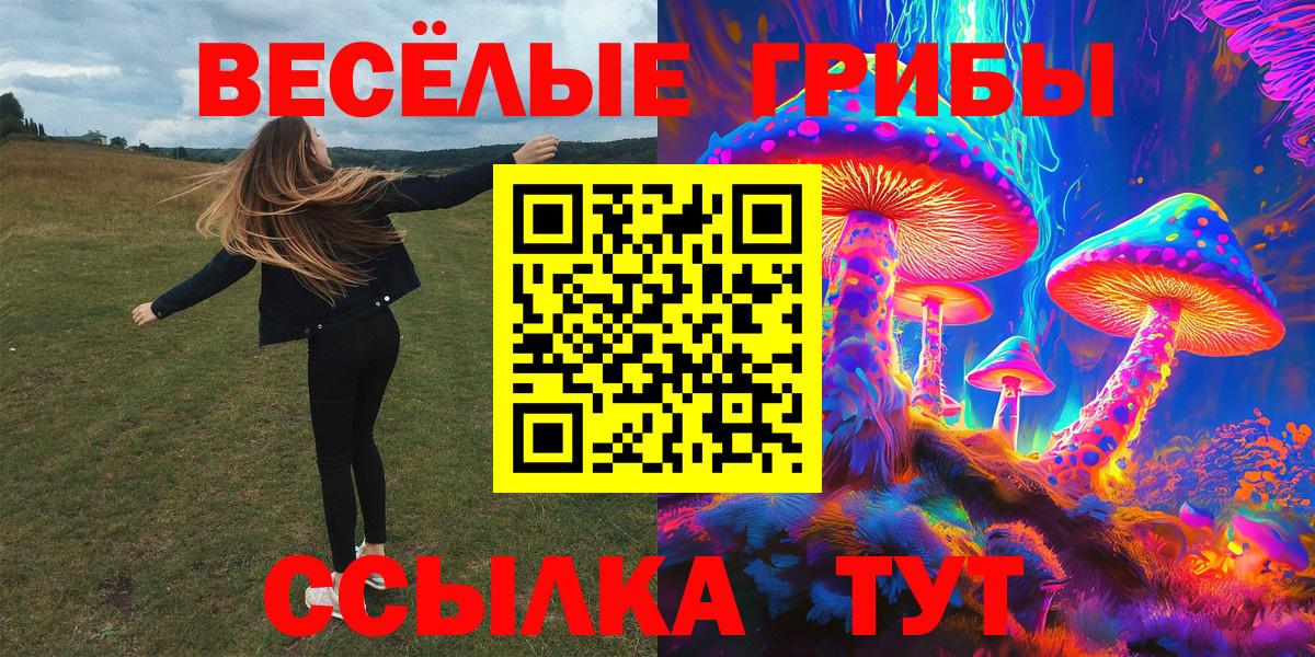 Галлюциногенные грибы мухоморы Озёрск
